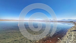 Salar de Atacama, Atacama, Chile photo