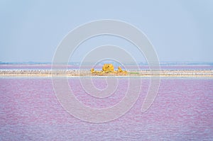 A beautiful salt lake with pink water