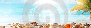 Beautiful sand beach background with seashells on the seashore. Copy space for text