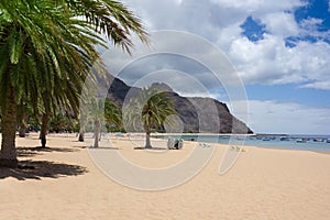 Beautiful sand beach with palm trees