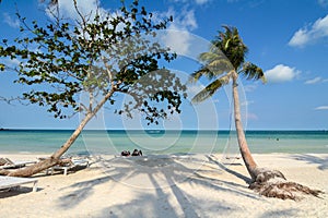 Bellissimo sabbia Spiaggia isola 