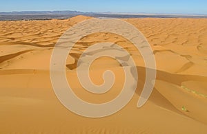 Beautiful sand desert dunes panorama in Sahara desert