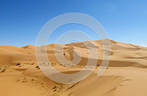 Beautiful sand desert landscape