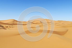 Beautiful sand desert Sahara dunes and blue sky