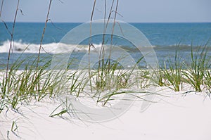 Beautiful sand dune