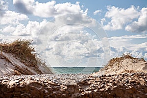 Beautiful sand dune with sea grass and sailboat on horizon.