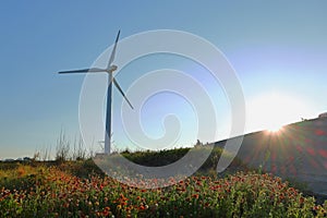 Beautiful sand dune and windmill at the beach in Dayuan District, Taoyuan,