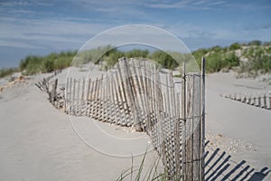 Beautiful Sand Dunes, Avalon, New Jersey