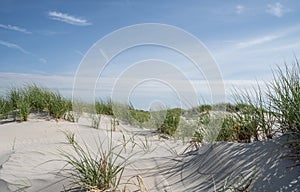 Beautiful sand dunes, Avalon, New Jersey