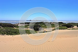 Sand Dunes on Pacific Coast, Ano Nuevo State Park, Big Sur, California photo