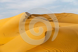 Beautiful sand dunes in the desert in UAE
