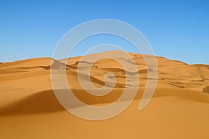 Beautiful sand dunes in Sahara desert