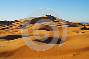 Beautiful sand dunes in Sahara desert