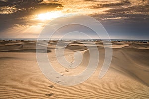 Beautiful sand dunes view. Maspalomas dunes.