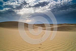 Beautiful sand dunes view. Maspalomas dunes.