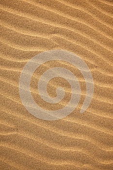 A beautiful sand texture. A wavy desert background. A sand dune backdrop