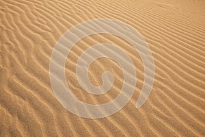 A beautiful sand texture. A wavy desert background. A sand dune backdrop