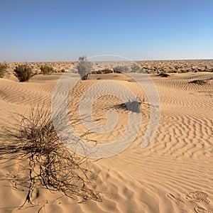 The Beautiful Sands of the Sahara