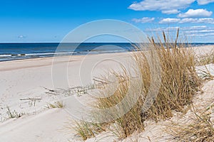 Beautiful sandy beach with dry and yellow grass, reeds, stalks blowing in the wind, blue sea with waves on the Baltic Sea