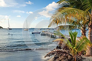 Beautiful sandy beach with palm trees and pier with boats and yachts at Anse a lÃ¢â¬â¢Ane beach, Martinique island, Caribbean sea,