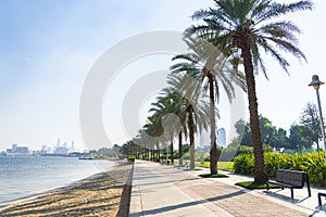 beautiful sandy beach with sand in city park on the background of the sea and the bridge. Dubai, UAE