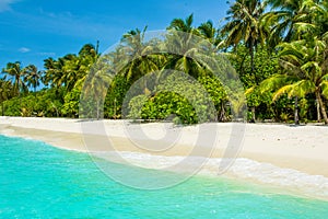 Beautiful sandy beach in uninhabited island