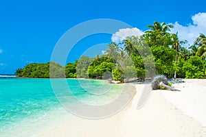 Beautiful sandy beach in uninhabited island