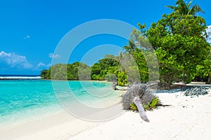 Beautiful sandy beach in uninhabited island