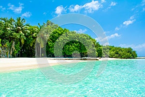 Beautiful sandy beach in uninhabited island