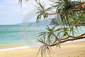 Beautiful sandy beach in uninhabited island. Perfect landscape background