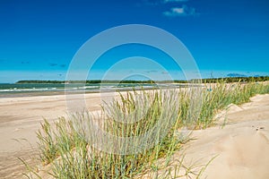 Beautiful sandy beach Yyteri at summer, in Pori, Finland