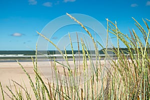 Beautiful sandy beach Yyteri at summer, in Pori, Finland