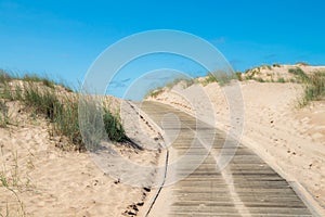 Beautiful sandy beach Yyteri at summer, in Pori, Finland