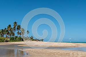 beautiful sandy tropical beach at Maracaipe, Brazil