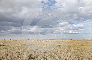 Beautiful Savannah grassland and dramatic cloud in Ol Pejeta Conservancy, Kenya