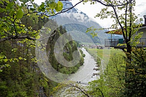 Beautiful scene of aare river with fresh green trees in Aare gorge Aareschlucht