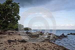 Beautiful scene of Bama Beach, Baluran. Baluran National Park is a forest preservation area that extends about 25.000 ha on the