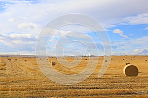 BEAUTIFUL ALBERTA SCENE