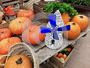 Beautiful scene with colorful pumpkins and windmill on autumn fair photo