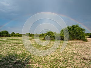 Beautiful scene of double rainbow on blue sky copy space background above natural sand, grass and tree on savanna plain