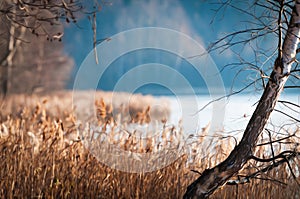 Beautiful scene of fall with birch in foreground.