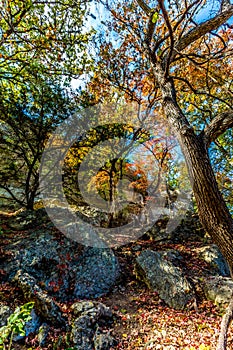 A Beautiful Scene with Fall Foliage and Several Large Granite Boulders at Lost Maples photo