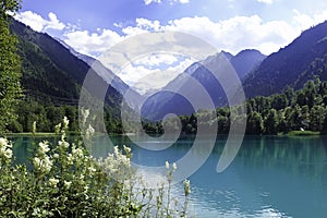 Beautiful scene from lake, forest and mountains in Salzburg, Austria photo