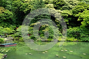 Beautiful scene of lush green japanese garden with shades of green plant, boat and lotus pond on sunny day, Beppu