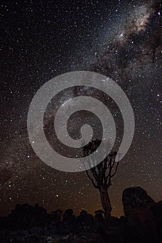 Beautiful scene of milky way over Quiver tree forest in Namibia.