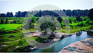 Beautiful scene natures beauty river flowing in middle surrounded by lots of trees dense forest backside clean river water