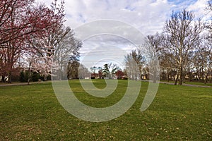 Beautiful scene of a park with blossoming trees in early spring set against a cloudy sky.