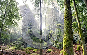 Beautiful scene of the rainforest with rocky cliffs