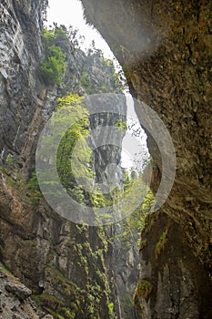 Beautiful scene of rock valley with green trees in Aare gorge Aareschlucht