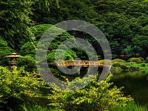 A beautiful scene at the Shinjuku Gyoen National Garden - a wooden bridge crossing a pond among beautiful plantings